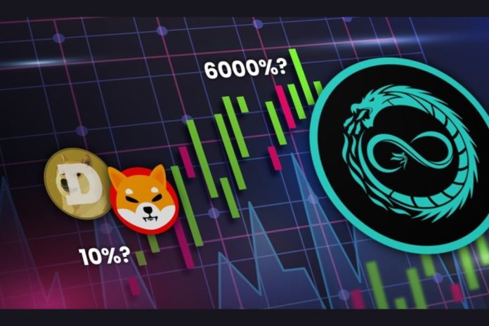 DOGE, SHIB, and BONK Rally But Infinaeon Presale Expected To Outperform with 6000% Returns