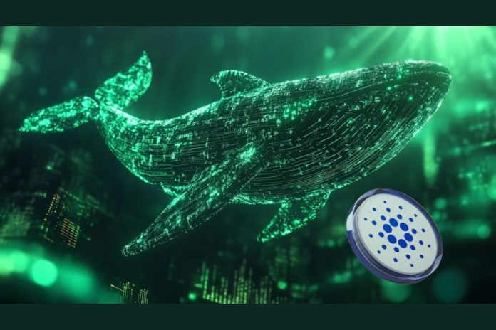 Cardano Whales Join PropiChain as Smart Money Bets Big on Its AI-Powered Growth Potential