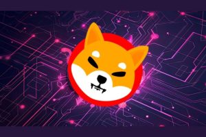 Shiba Inu (SHIB) Approaches Critical Support Level: Is it Time to Buy?