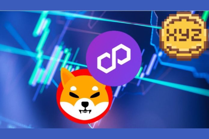 Following in the Footsteps of Shiba Inu and Polygon, This Sub-$0.0005 Token Shows Massive Potential for Growth and Investor Attention!