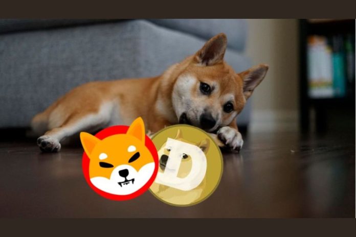 With a 19,900% Goal, XYZ Could Be the Meme Coin That Outshines DOGE and SHIB