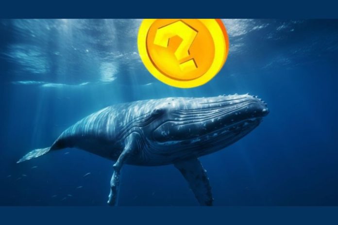 Whales Are Flocking to These 3 Hidden Memecoin Gems – Here’s Why You Should Too