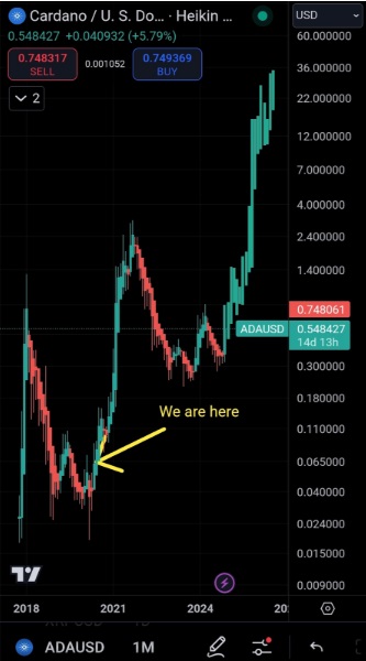 Bitcoin Price To Reach $100K This November, While Cardano Continues Bullish Run, Crypto Whales Increase Yeti Ouro Holdings Before Price Increase