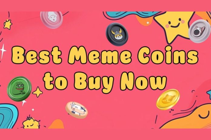 Best meme coin presales 2024 Top meme coin presales to invest in Meme coin presales for maximum returns Best meme coins to buy now for 2024 Meme coin presales with highest potential