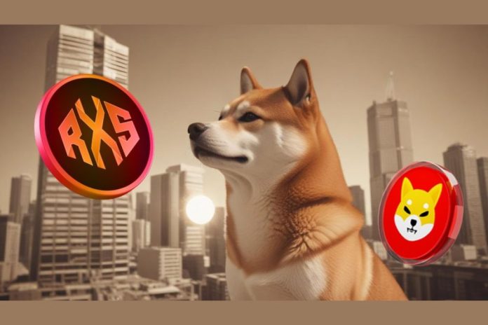 This Shiba Inu Competitor Will Rocket 36x in the Next 58 Days