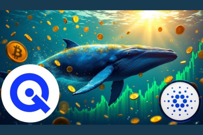 Cardano Price Prediction: Bullish Whale Accumulation To Drive 800% Growth By 2025, High-Potential Altcoin With 70,000% ROI Forecast Still Trading At Only $0.02