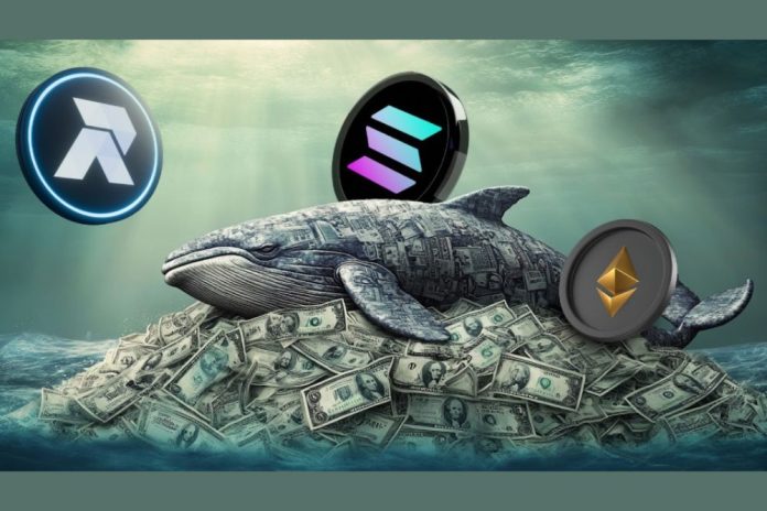 Ethereum and Solana Whales Add RCO Finance to Their Portfolios for a 20,000x Upside in February