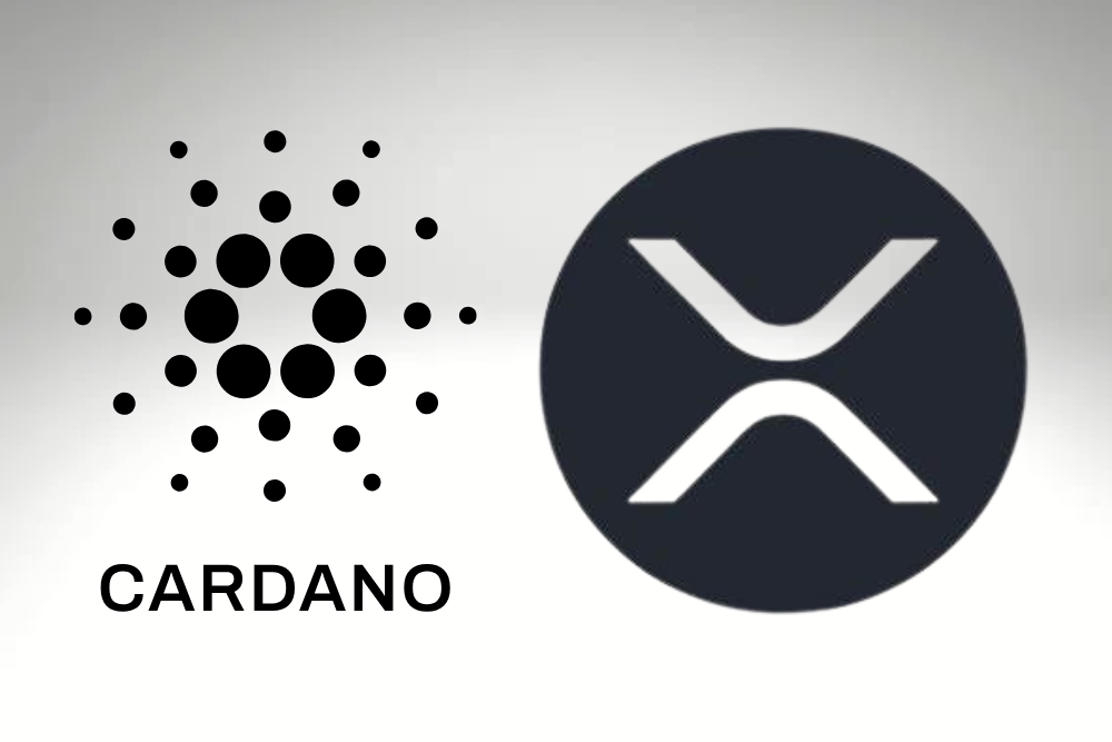 A New Bridge Is Connecting Cardano and XRP Ecosystems