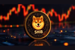 Shiba Inu (SHIB) Dip Analysis Suggests Something Is Coming