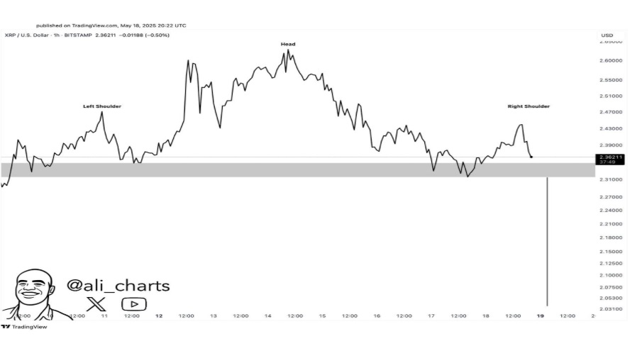 XRP Loses Institutional Interest To SUI — Early FloppyPepe Buyers May Score Big Before It Goes Mainstream