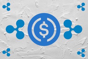 Rumor Alert Within XRP Army: Ripple Acquires Circle for 61 Billion USDC