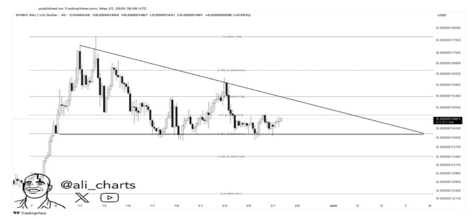 Bitcoin Price Weekly Chart Breakout Sets Stage For A $130,000 Target And A Multi-Coin Rally Led By Shiba Inu And FloppyPepe (FPPE)