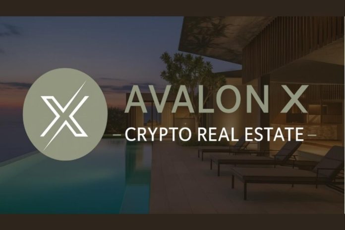 Best Coins for the Upcoming Bull Cycle — DOGE, ADA, SUI, and Avalon X