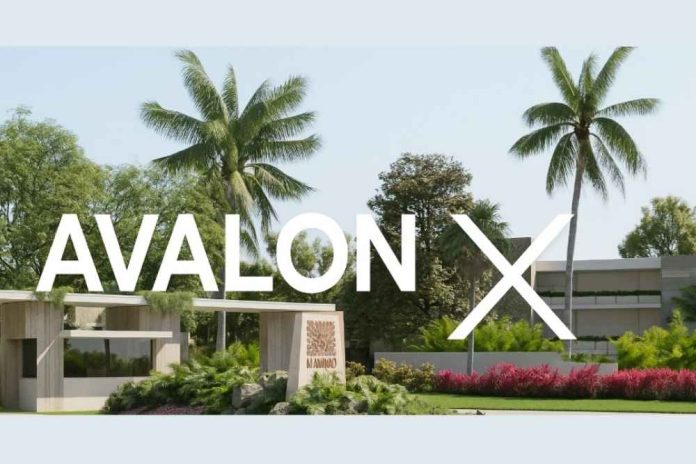 Analysts Pick Avalon X as the Top RWA Presale Over Remittix and BlockDAG