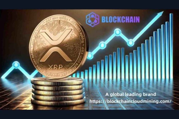 With the launch of stable mining contracts, XRP assets can become a daily cash flow generator.