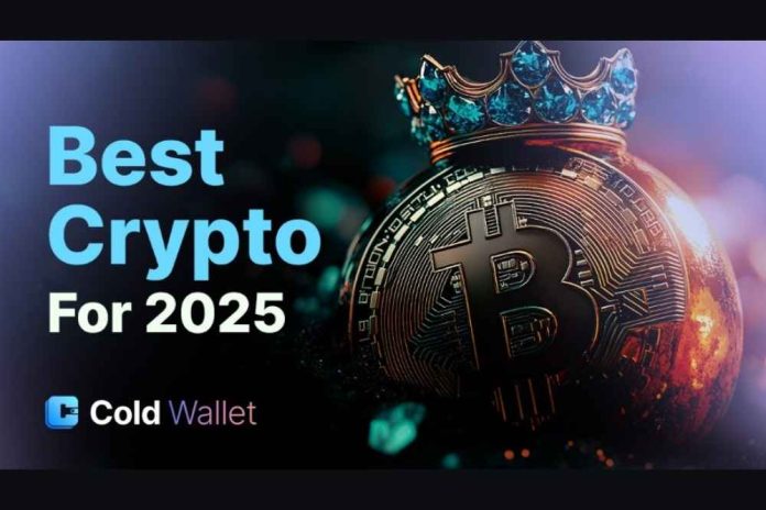 4 Coins to Buy Now: Cold Wallet’s $CWT, Cardano, Dogecoin, Solana Lead the Way