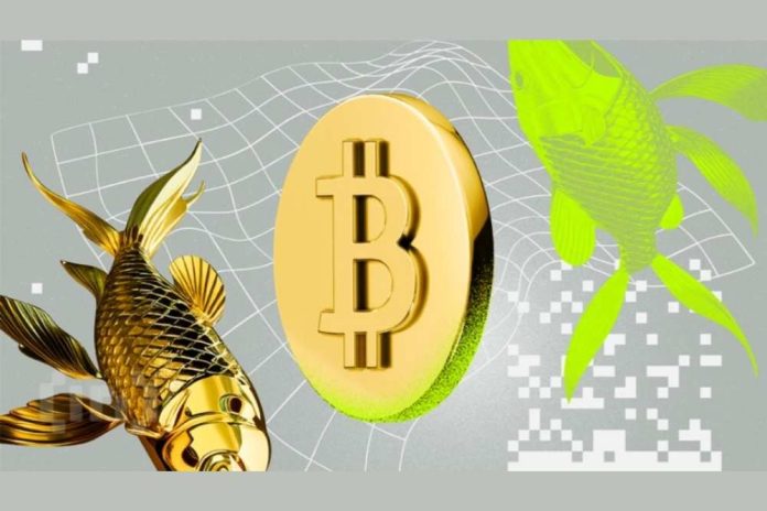 One Simple Passive Income Idea to Grow Your Wealth in 2025