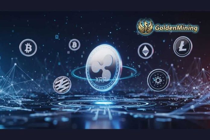 Whales Enter XRP Market – Goldenmining Cloud Mining Platform Allows Cryptocurrency Holders to Earn Massive XRP Daily