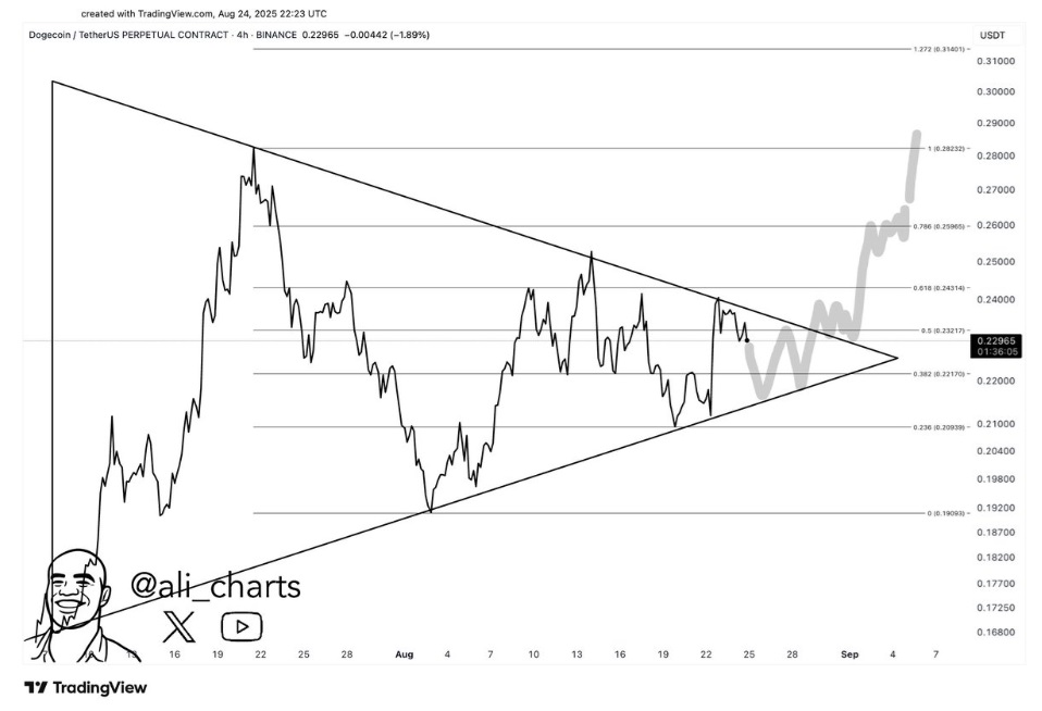 Best Altcoins to Buy Under $1 — MAGACOIN FINANCE, Hedera and Dogecoin Dominate Analyst Portfolios