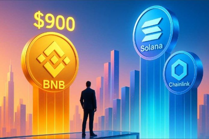 Solana and Chainlink May Outperform BNB Despite $900 Price Target, Analysts Say