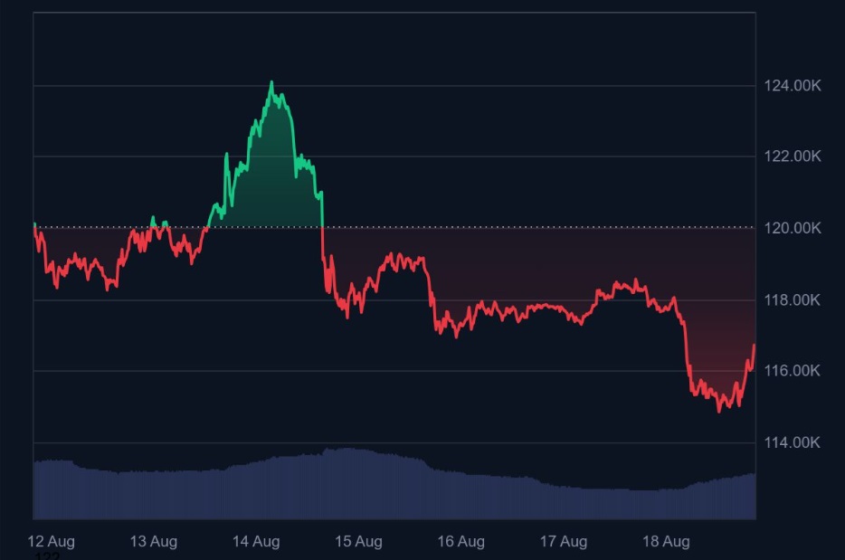 Bitcoin Pulls Back to $115K, as Whales Seek New Investing Opportunities