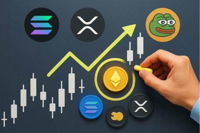 Best Crypto Presale to Watch in Q4 2025 — Solana, XRP and a New Meme Coin Fuel Retail Buzz