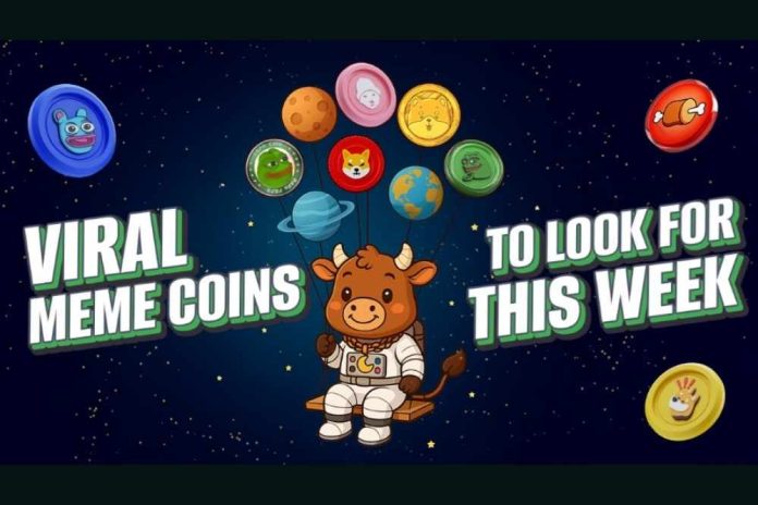 4 Top Cryptos To Join in 2025 - Jump in Before You Miss The Bull Run