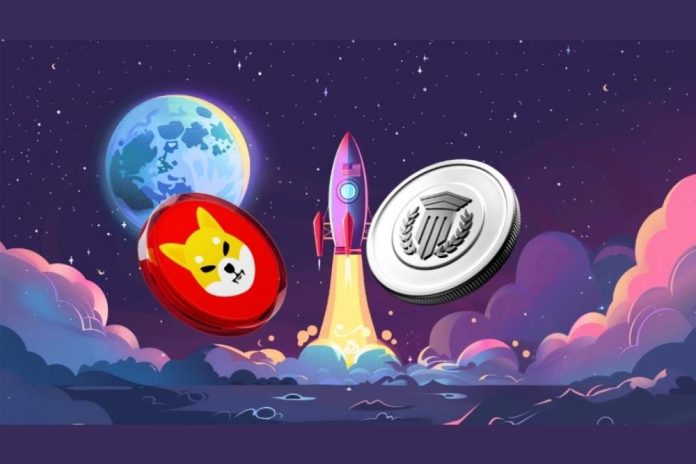 Could This Early DeFi at $0.035 Outshine Meme Coins as Pepe Plummets 15.8% and Shiba Inu Volume Spikes?