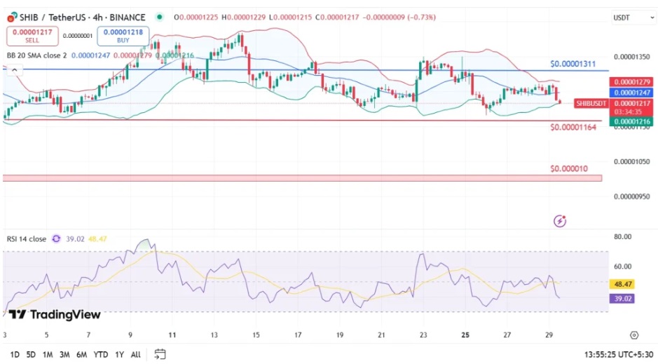 Why Early Shiba Inu Holders Are Backing Remittix In What Could Be The Best Investment This Year