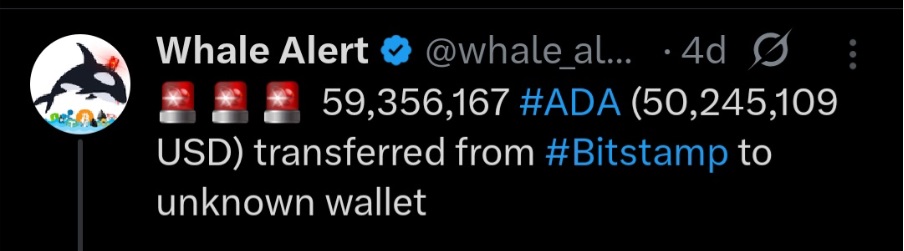 Cardano Price In August Could Fall Below $0.70, XRP Battles With New PayFi Altcoin Remittix In August