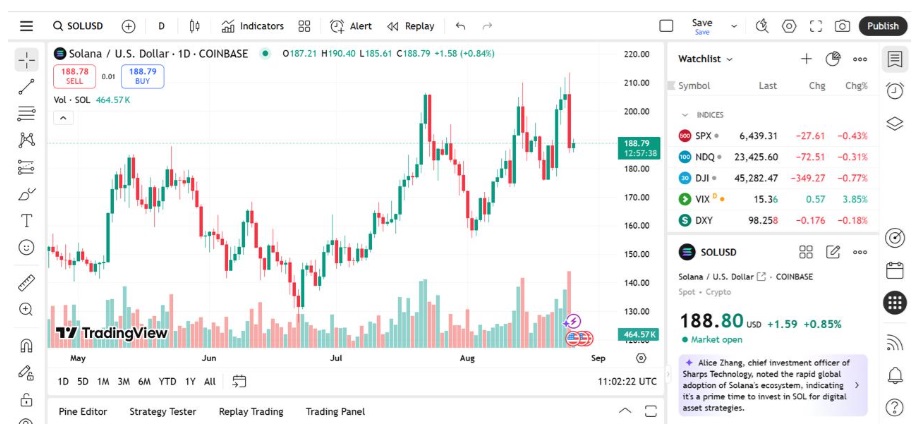 Early Solana Backer Bets Big On New PayFi Altcoin Remittix Which Captures Crypto Fans’ Attention Worldwide