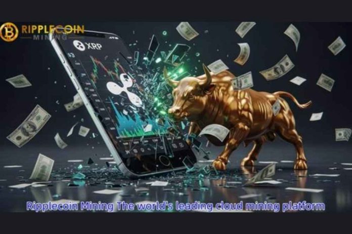 XRP leads the market rebound. Ripplecoin Mining launches new contracts, allowing users to easily earn XRP and BTC.