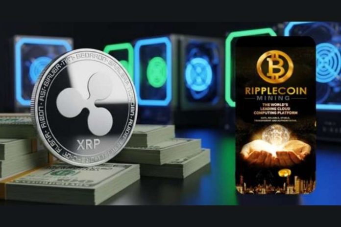 As XRP plummeted below $3, Ripplecoin Mining launched a structured mining income plan to protect investors' assets.