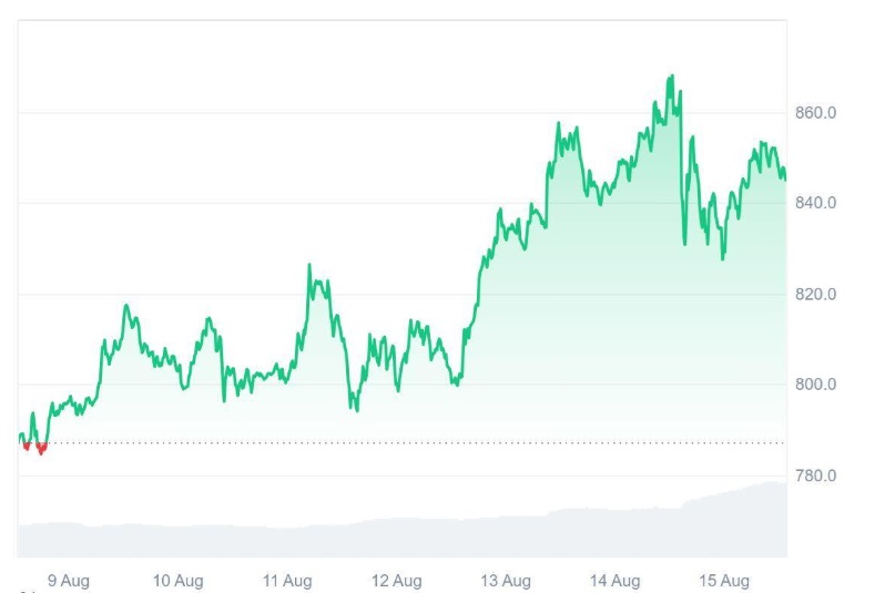 Smarter Bets Than Binance Coin (BNB)? Experts Say Ruvi AI (RUVI) Could Be This Year’s Biggest Gainer, CMC Partnership Made Its Audited Token Top Trending