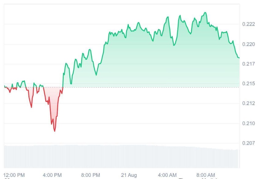 Analysts Say Ruvi AI (RUVI) Is Racing Ahead of Dogecoin (DOGE) To $1, CMC Partnership Just Made Its Token One of the Fastest-Growing Crypto