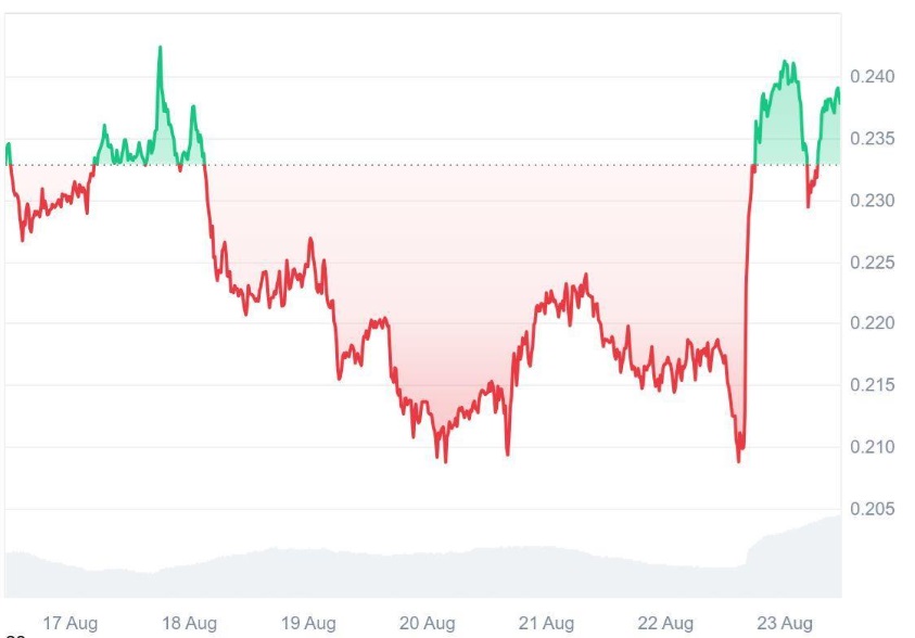 Ruvi AI (RUVI) Becomes Analysts’ Top Summer Pick, It Can Mimic Dogecoin’s (DOGE) 100x Rally as CoinMarketCap Sparks Buying Frenzy