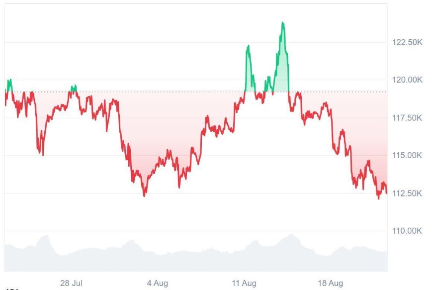 From Bitcoin (BTC) to Ruvi AI (RUVI): Experts Say This Could Be the Next Millionaire Maker as Daily Sales Hit Records Post CMC Listing Fueling 13200% ROI Forecast