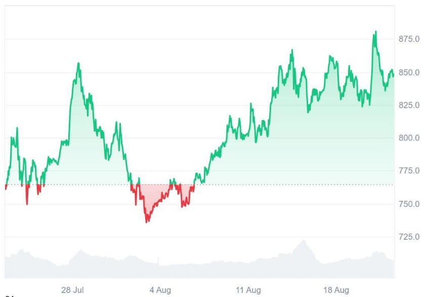 Analysts Say Ruvi AI (RUVI) Could Repeat Binance Coin's (BNB) 100x Rally, Audited and Newly Listed on CoinMarketCap Makes It a Top Investment Now