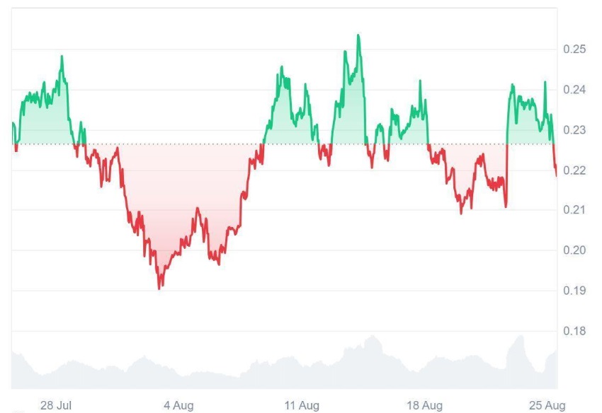 Ruvi AI (RUVI) Just Cemented Its 100x Gem Status as CMC Partnership Pushed Daily Sales to Millions, Experts Calling It Dogecoin (DOGE) 2.0