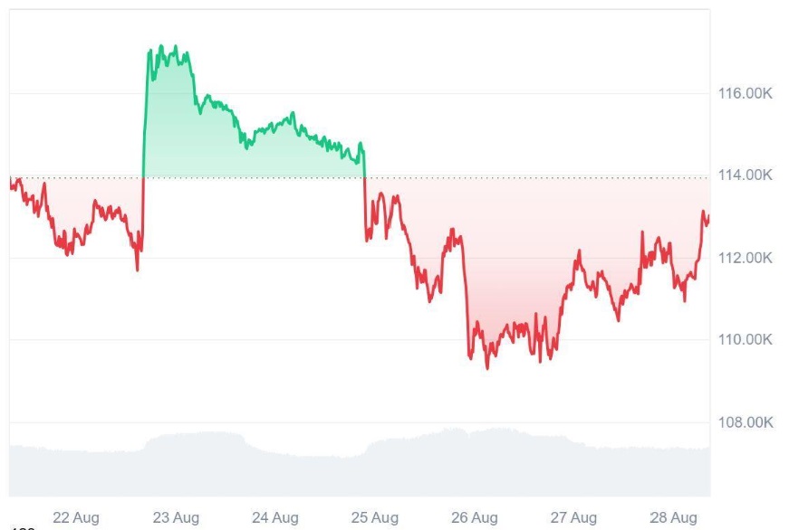 Ruvi AI (RUVI) Becomes a Must-Have Token Before Summer Ends, Experts Predict It Might Beat Bitcoin's (BTC) Forecast as 9900% ROI Is Predicted Before 2026