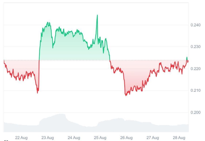 Dogecoin (DOGE) Might Arrive Second To Ruvi AI (RUVI) In The $1 Race, Early Bonuses and Passed Audit Made Its Presale One Of The Fastest Paced