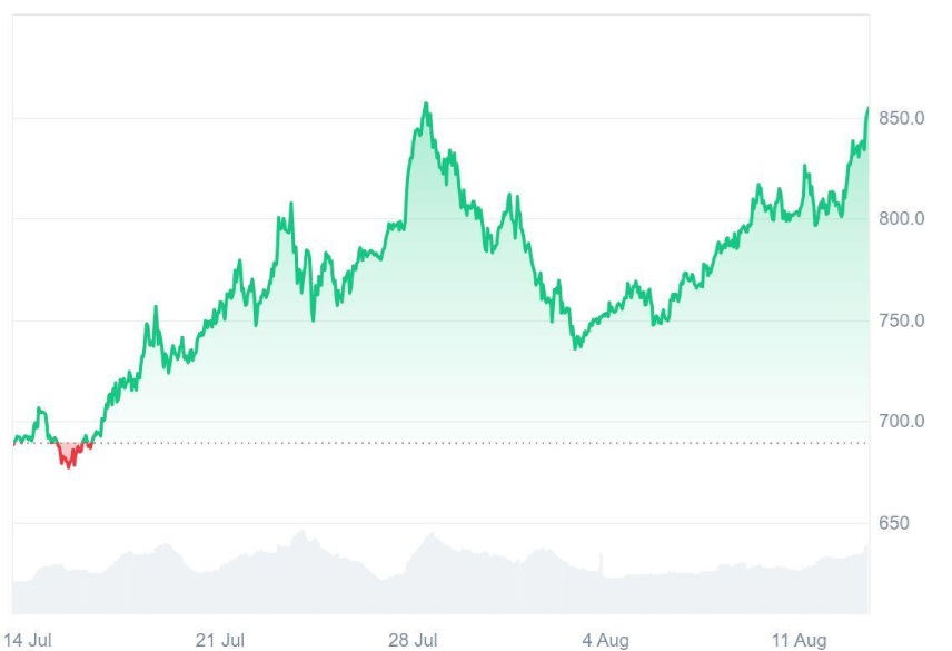 Ruvi AI (RUVI) Could Reach $1 Evaluation Sooner Than Expected Thanks To CMC Partnership, Its Audited Token May Outperform Binance Coin (BNB)