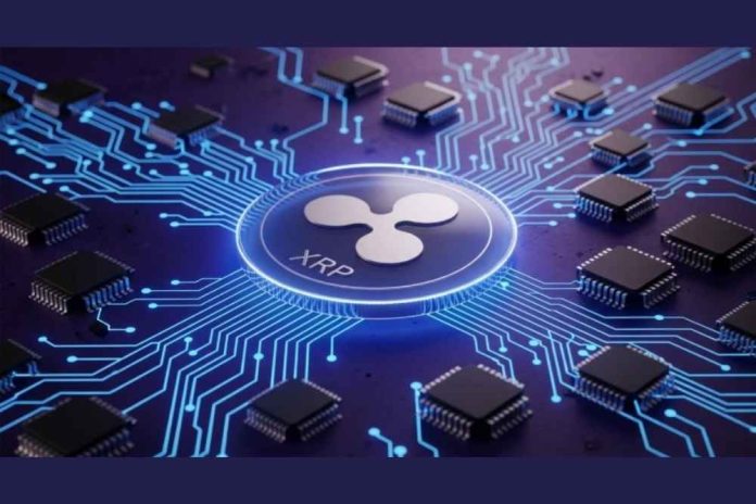 Siton Mining Unveils XRP Cloud Mining Service – Start Earning on Your Smartphone Today
