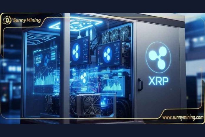 Looking ahead to SunnyMining's global layout, market prospects, and its impact on the XRP ecosystem