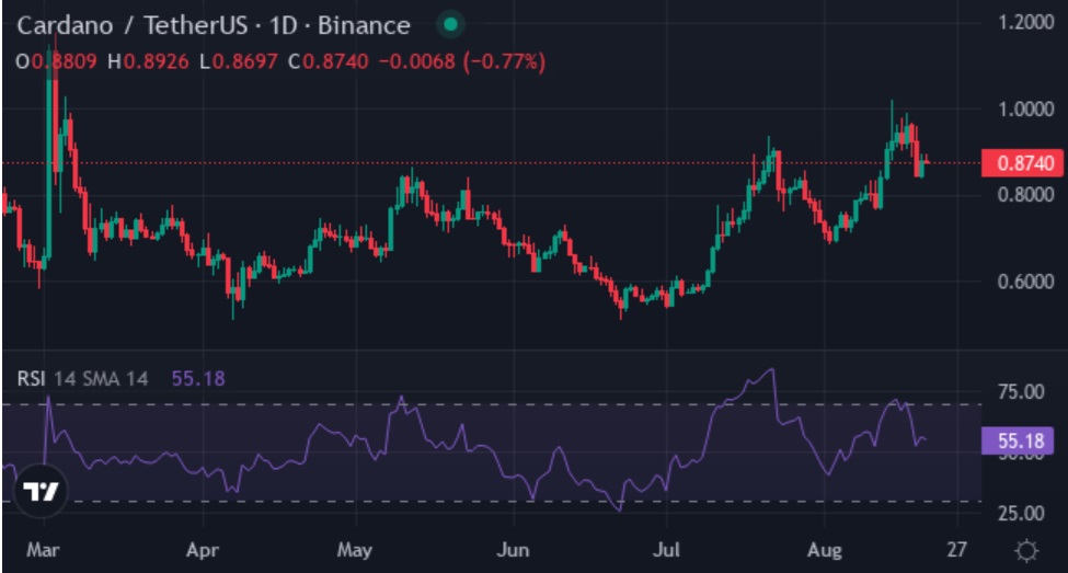 Big Money Continues Stacking These Cryptocurrencies - Here's How Far ADA, SUI, SHIB & XYZVerse (XYZ) Price Soars If...