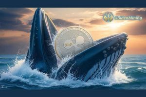 XRP Whales Going Ballistic: 3.56 Million XRP Vanish from Exchanges In 24 Hours