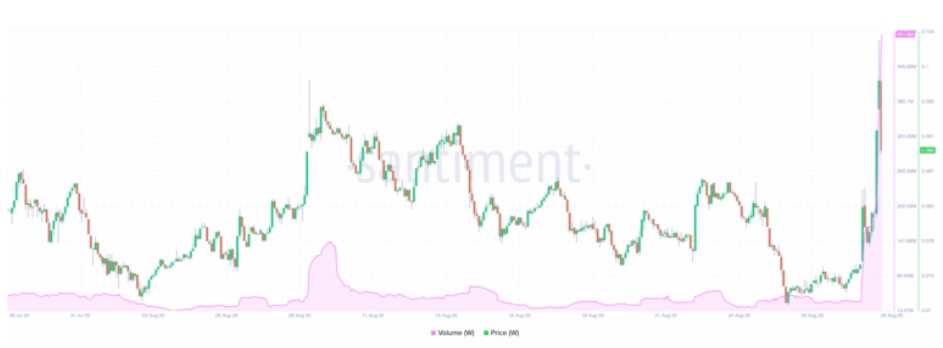 W Coin Surged 25% This Week — Could It Join the Big Leagues With LINK, SOL, and ADA?