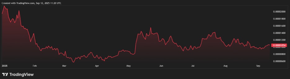 Next Big Cryptocurrency? Analysts Say Mutuum Finance (MUTM) Could Outperform Pepe (PEPE) This Year