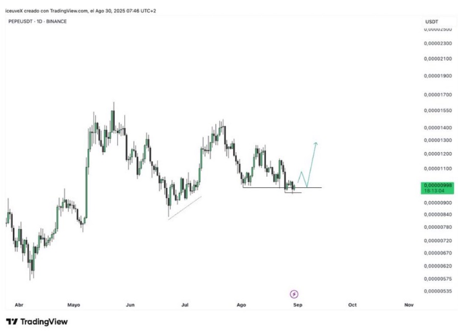 Pepe Coin Holders In Search Of The Next 1,000 Back New Altcoin Remittix