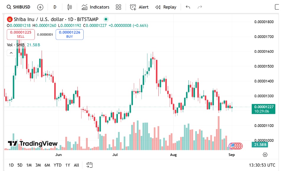 Why Early Shiba Inu And Pepe Coin Holders Are Backing Remittix In What's Set To Be The Next 100x Crypto